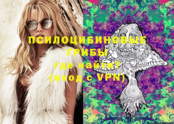 стаф Слюдянка