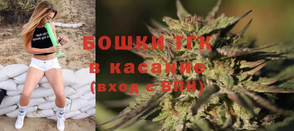 стаф Слюдянка