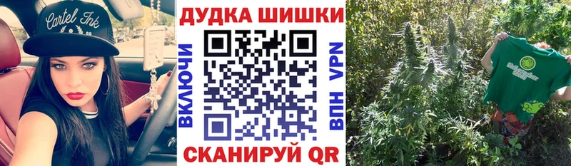 Марихуана планчик  Купить где  Черепаново 